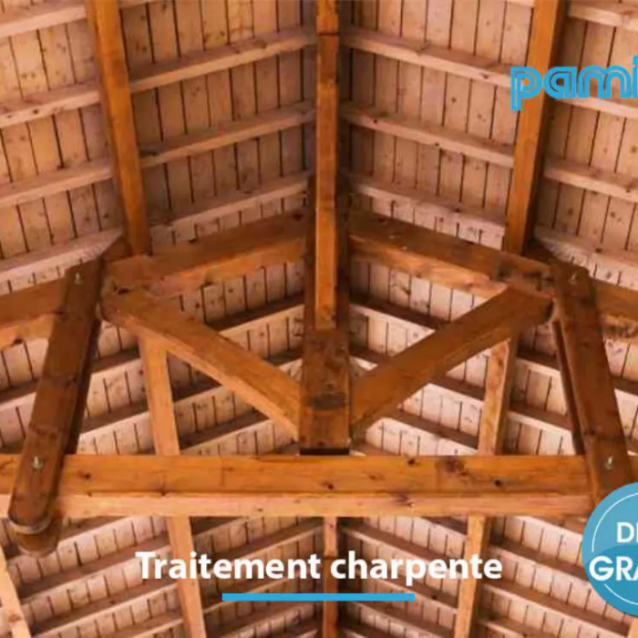 Traitement charpente à Le Vigan dans le Gard (30)