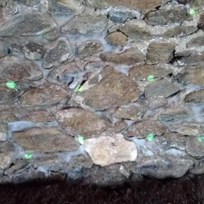 Traitement Mérule des maçonneries en Aveyron