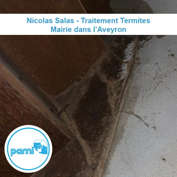 Traitement termites d'une mairie dans l'Aveyron