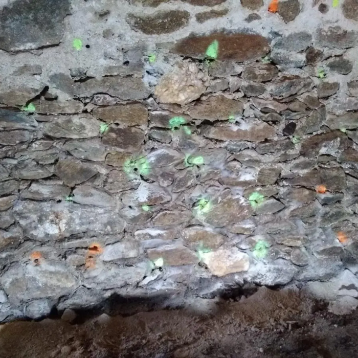 Traitement de la mérule par injection des maçonneries en Aveyron