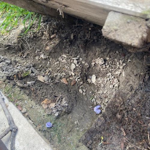 termites vaucluse