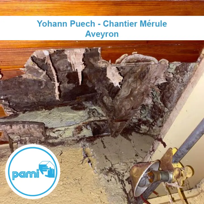 Découverte d'une mérule dans l'aveyron