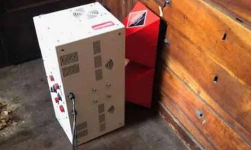 Traitement contre les capricornes à Toulouse de la cathédrale Saint-Etienne