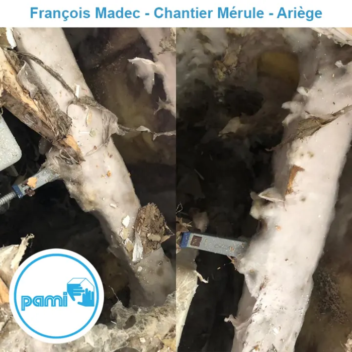 Traitement mérule Ariège