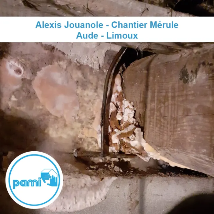 Traitement Mérule Limoux AUDE (11)