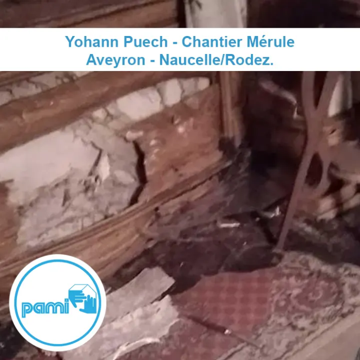 Dégâts de mérule sur une maison entre Naucelle et Rodez