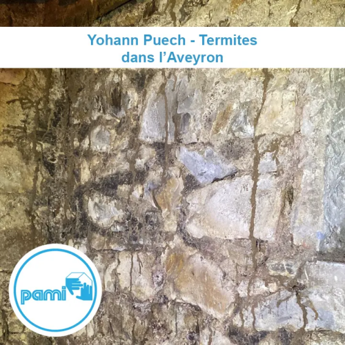 traitement termites en Aveyron