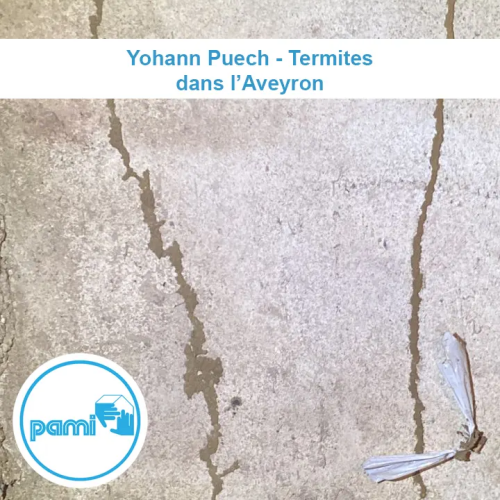 traitement termites en Aveyron