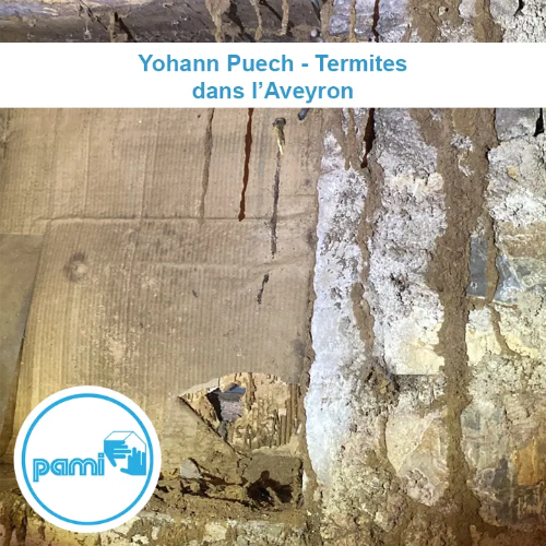 traitement termites en Aveyron