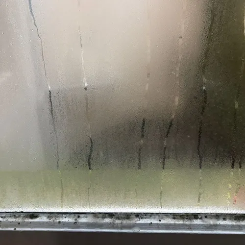 traitement lurs humides-condensation- pami 31