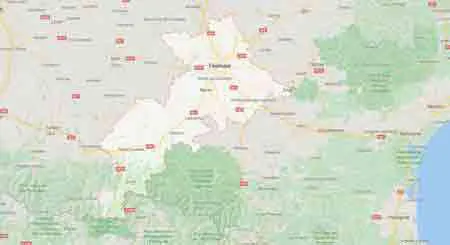 traitement mérule toulouse