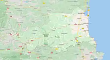 traitement merule Perpignan