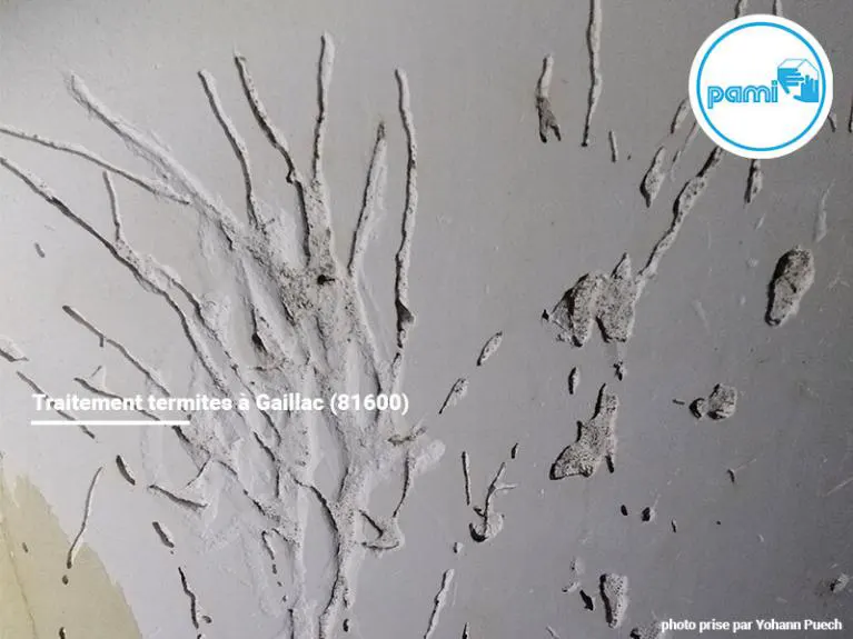 Traitement termites ou insectes xylophages à Gaillac dans le Tarn, traitement effectué par la Pami spécialiste du traitement termites dans le Tarn (81).