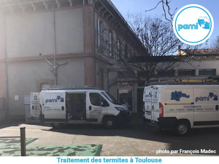 Traitement des termites Toulouse Pami, spécialiste du traitement.