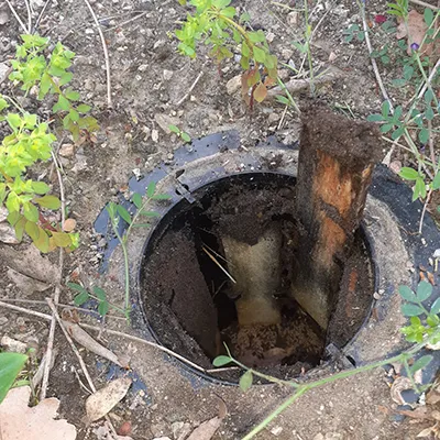 Pièges anti-termites avec suivi à Muret Haute-Garonne