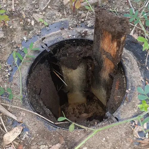 Station d'appât anti-termites installée dans le sol autour d'une maison