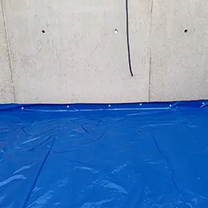 Cordonnets terreux le long des murs ou fondations, parfois suspendus.