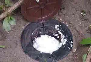 piege traitement termites