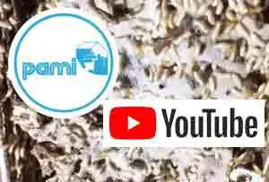 traitement termites piège