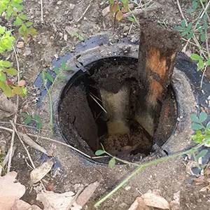 Traitement par pièges et appâts