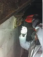 traitement anti-termites - traitement des bois Montluçon, Vichy, Moulins, Cusset, Yzeure… Allier (03)